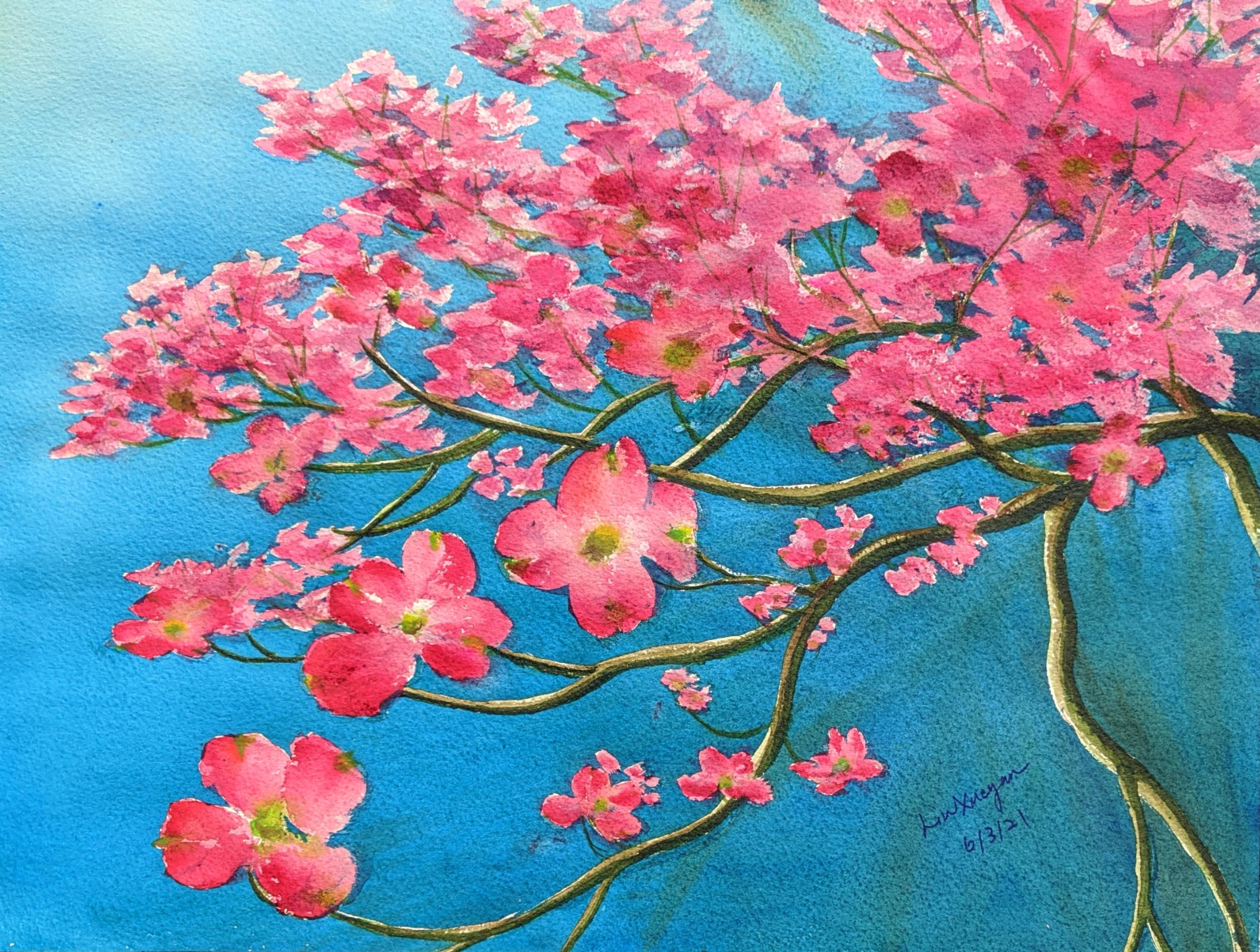 Pink dogwoods – Snowgoosewatercolor